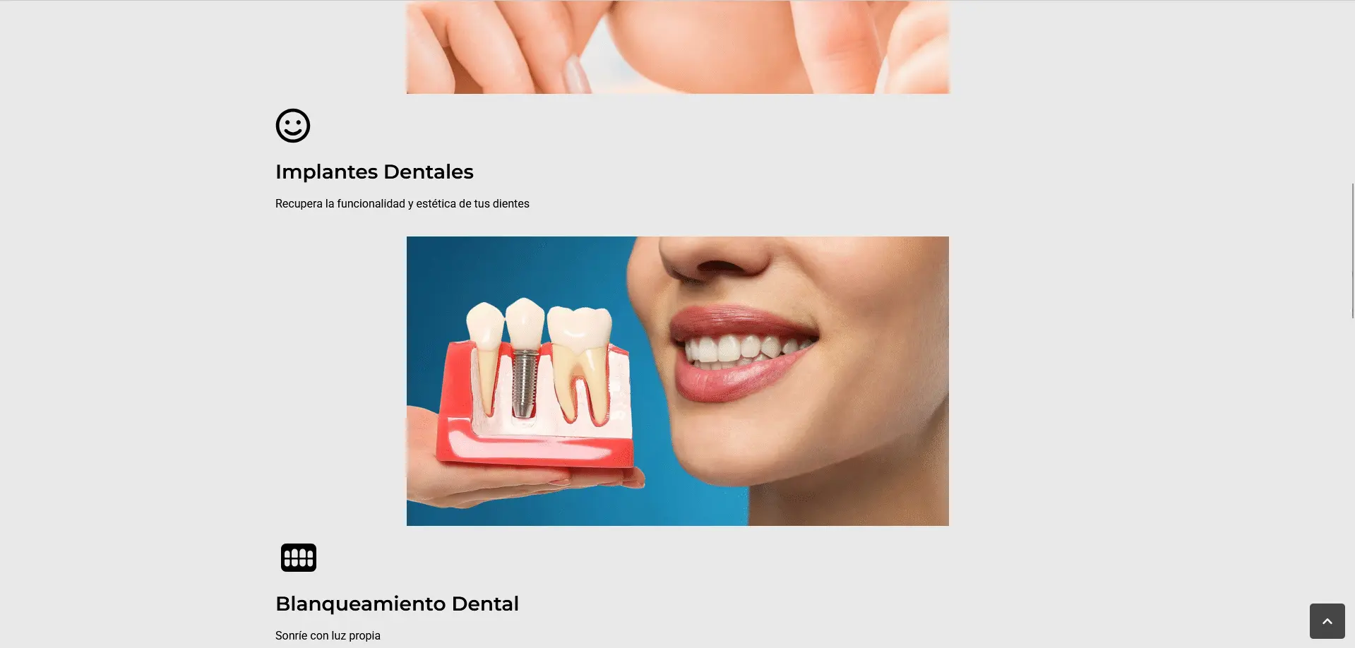Screenshot of the project Dentist page
