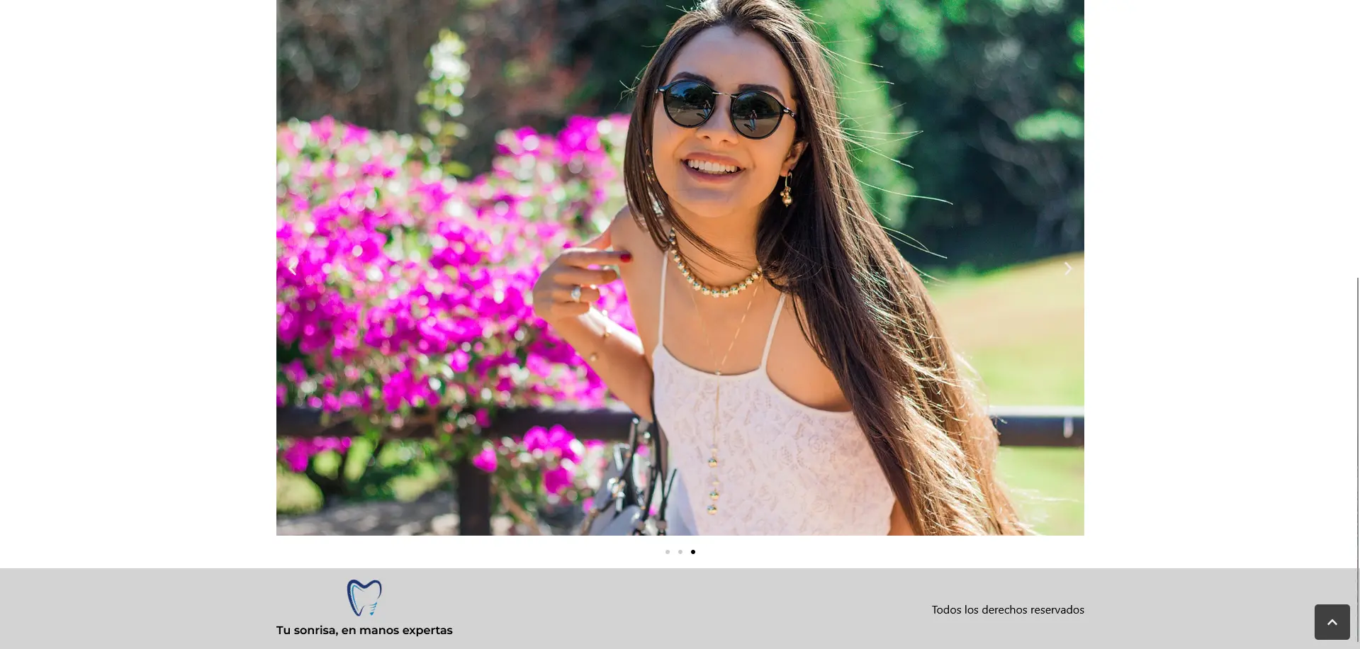 Screenshot of the project Dentist page