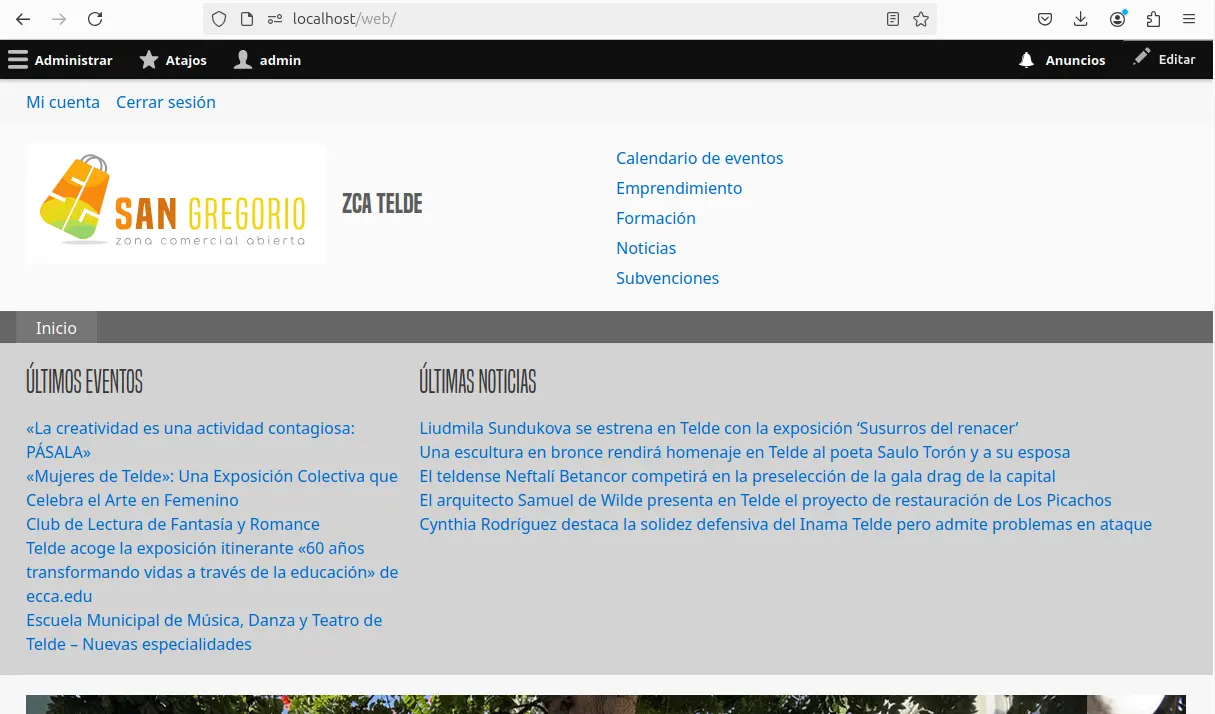 Screenshot of the project Telde's City Council Website