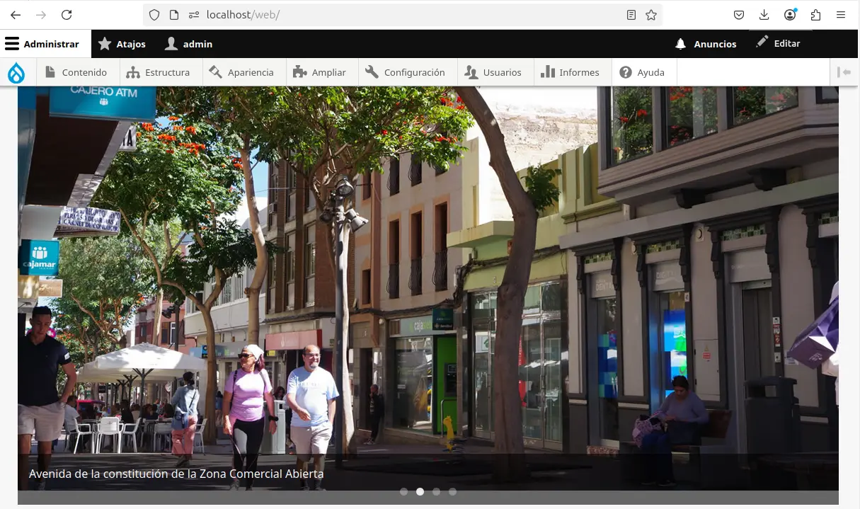 Screenshot of the project Telde's City Council Website